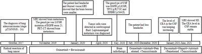 Olaparib Combined With Dacomitinib in Osimertinib-Resistant Brain and Leptomeningeal Metastases From Non-Small Cell Lung Cancer: A Case Report and Systematic Review